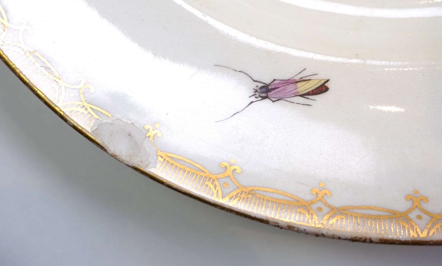 A Coalport bird painted part dinner service, mid 19th century